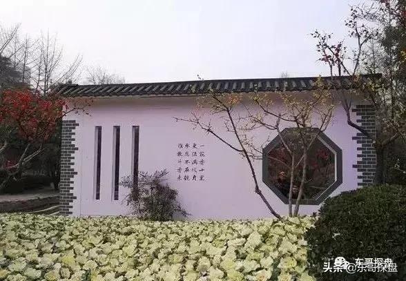 郑州金水区紫檀华都北院房价,郑州紫檀华都北院值不值得入手