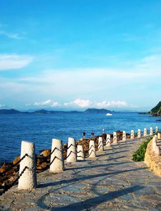 发现深圳红树林之美,发现小众风景点