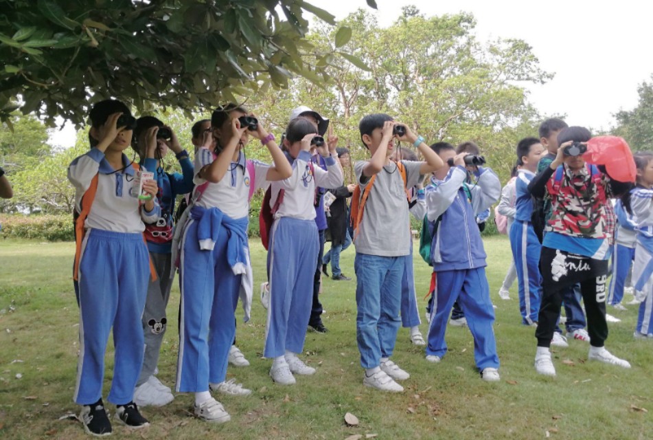 光明凤凰学校教室,光明凤凰学校规划