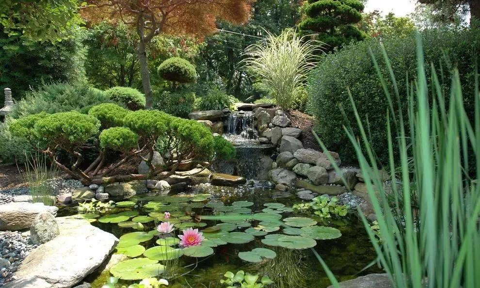 庭院植物搭配效果图,中式庭院景观植物搭配