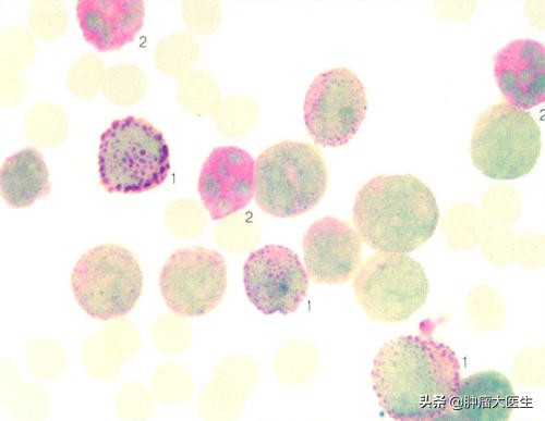 不查不知道一查吓一跳素材,不查不知道一查吓一跳一身病