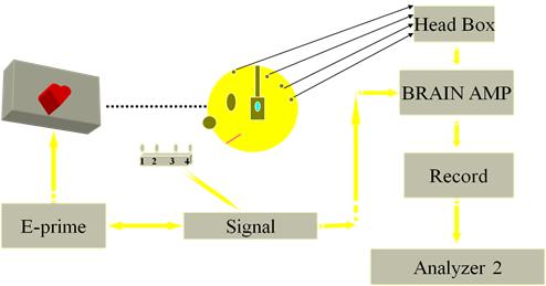焦虑症心跳很快,为什么焦虑症的人都感觉心跳快