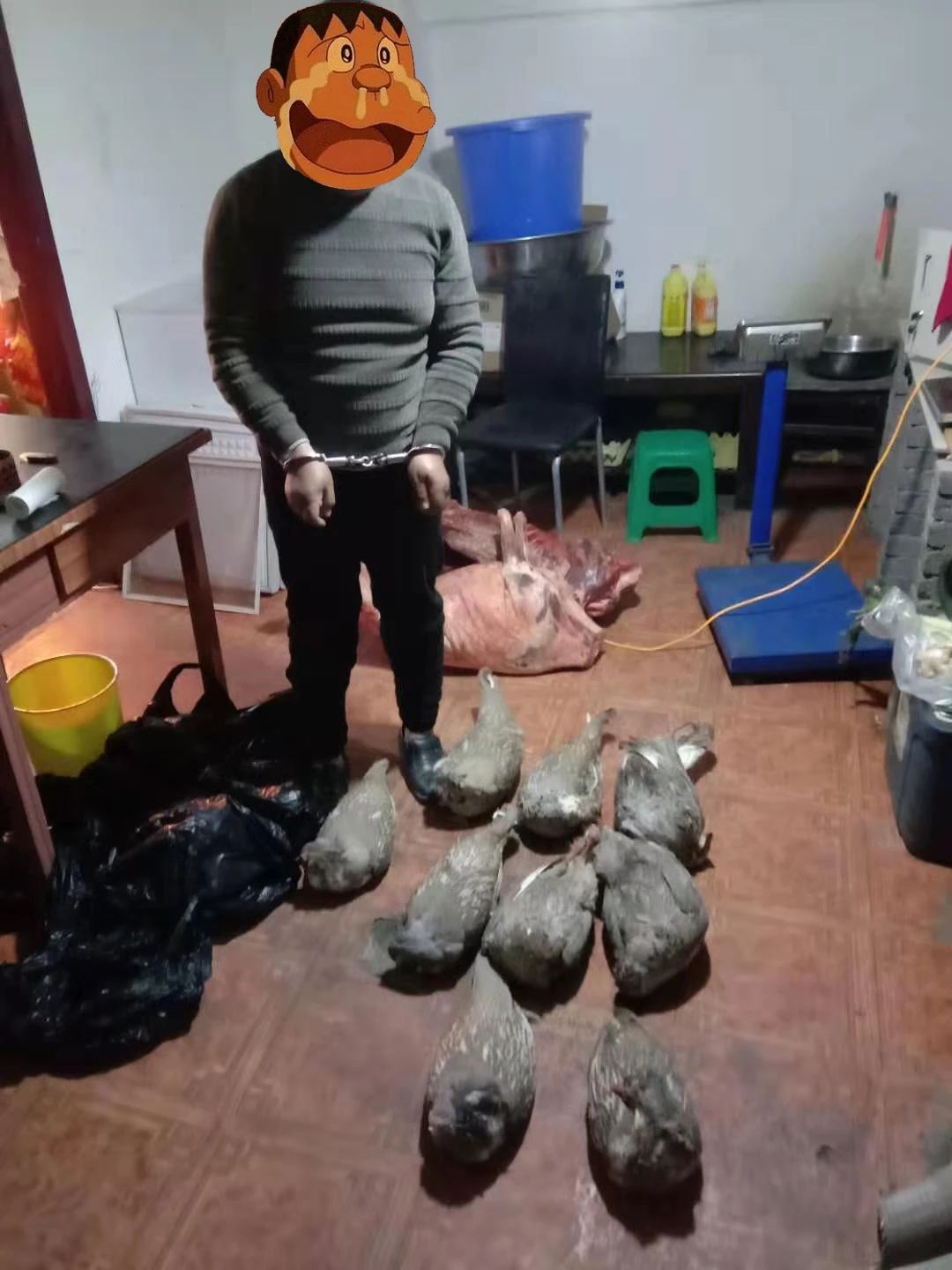 自制土枪、“黑卡”联络、现金交易，甘肃敦煌4名男子非法售卖濒危野生动物上庭受审