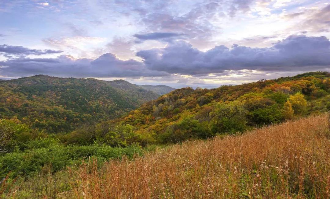 赞美庆阳的美景,庆阳的美