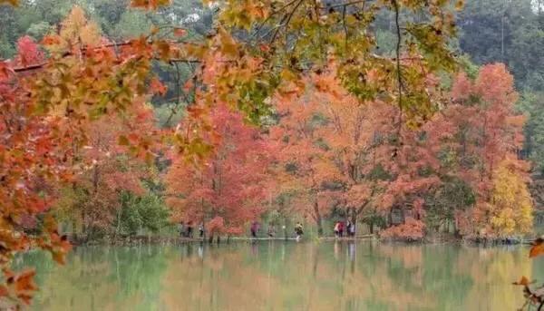 江西十大旅游秘境,春节绍兴去江西十大最美自驾路线