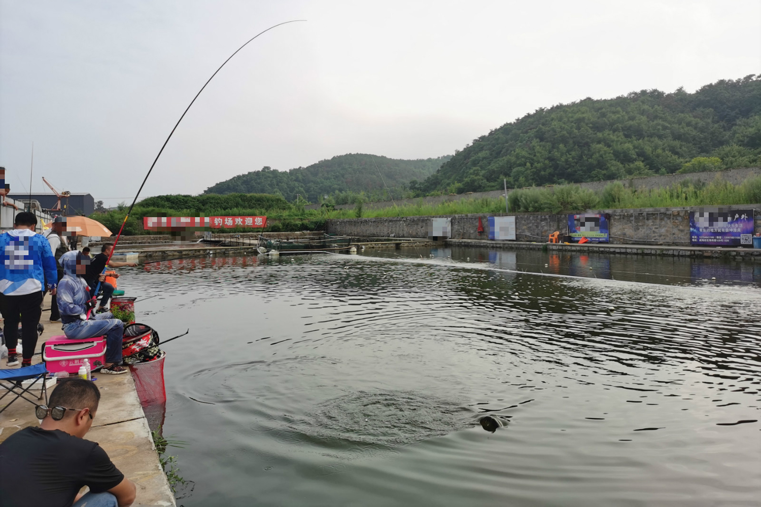 什么维生素钓鱼效果最好,什么氨基酸钓鱼最好