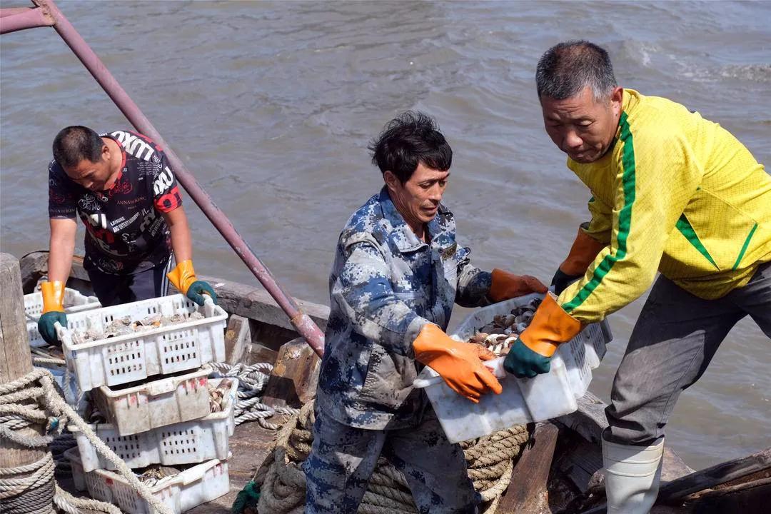 东港海鲜鱼仔店,东港海鲜批发市场