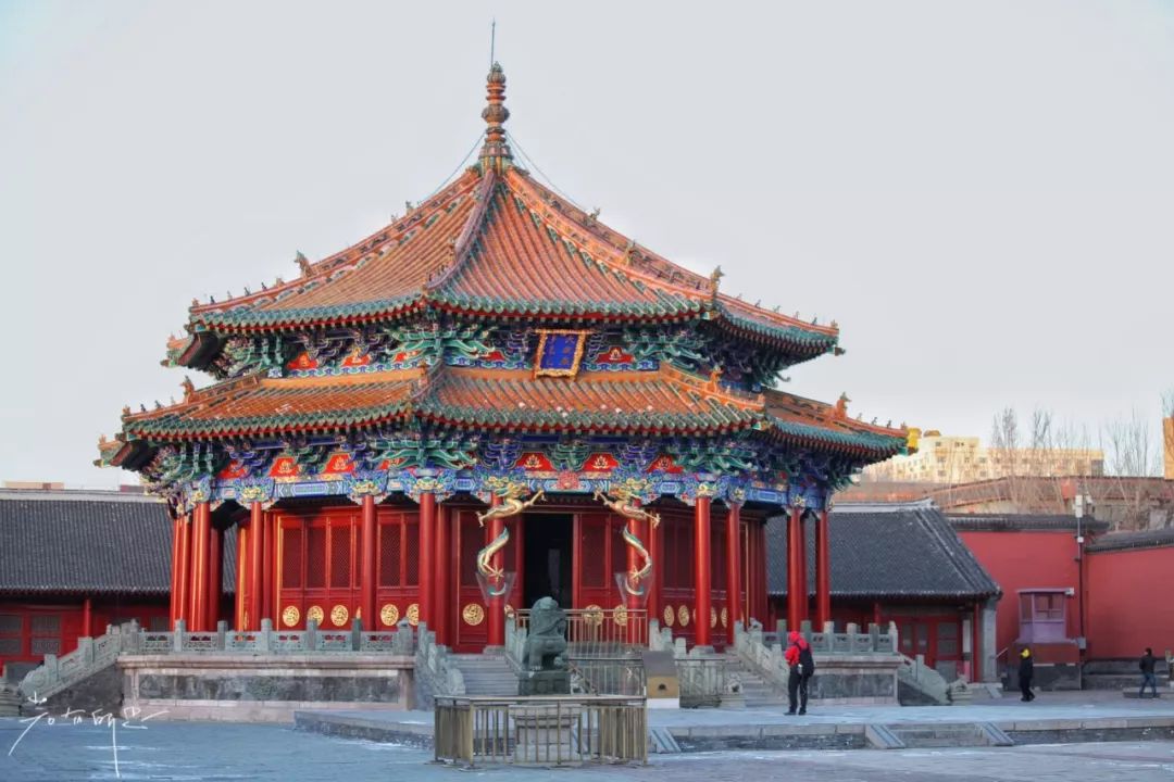 机票不到800元，第2次东北沈阳之旅，1个鸡架配老雪！