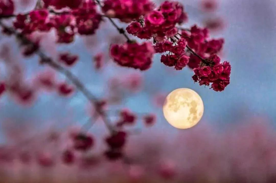 今天宜良景点哪里好玩,宜良好玩的夜景