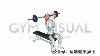 100张肌肉分解图,手臂肌肉的爆发力怎么练