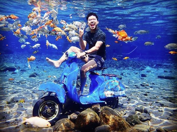 乡下小池塘,乡村里面的小池塘