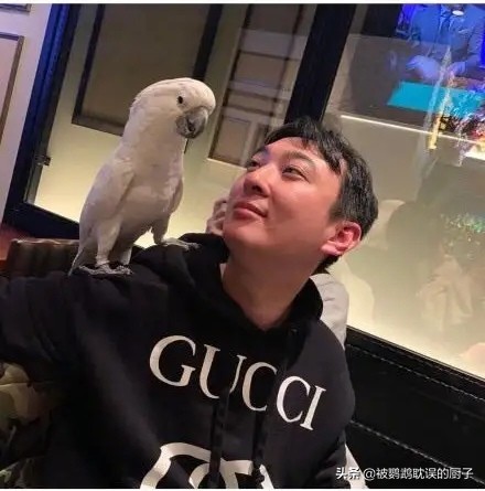 王校长养蚂蝗,王校长养的马