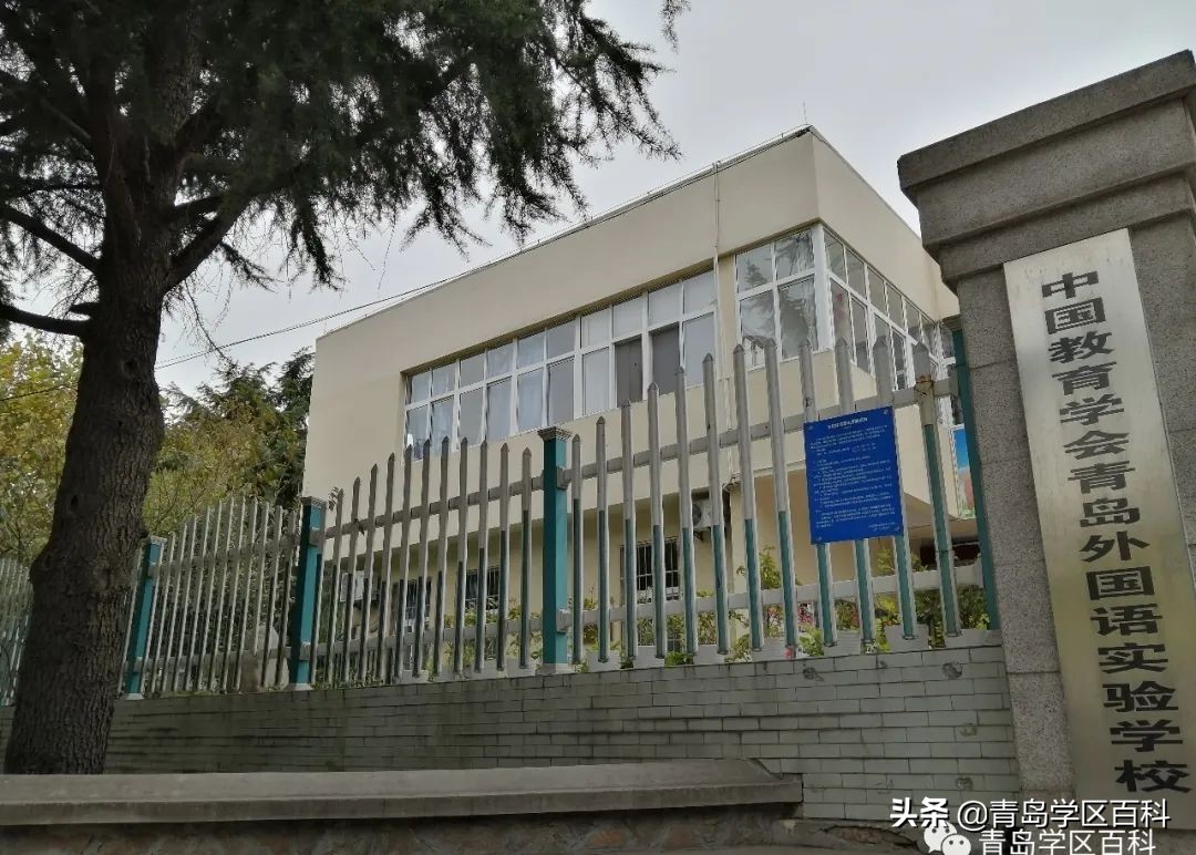 青岛市北37中对应的小学,青岛开发区四中学区划分图