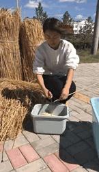 90后美女白领“逃离”大城市回乡创业，用秸秆作画年收入过百万