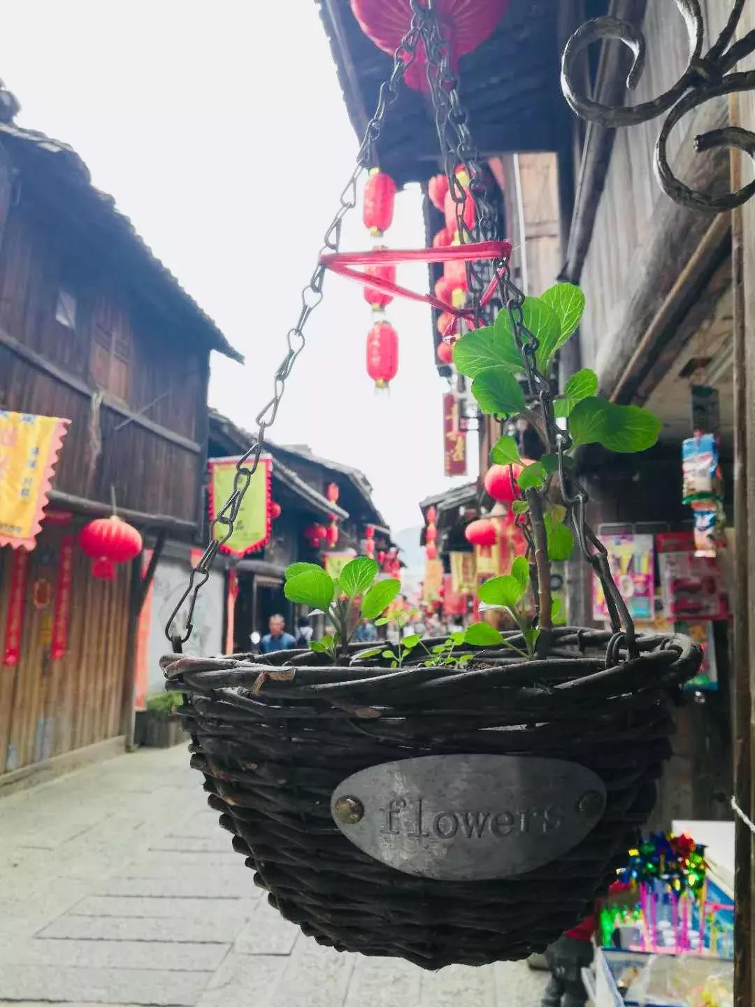 一整天忘记带手机是什么体验,24小时没有手机是什么体验