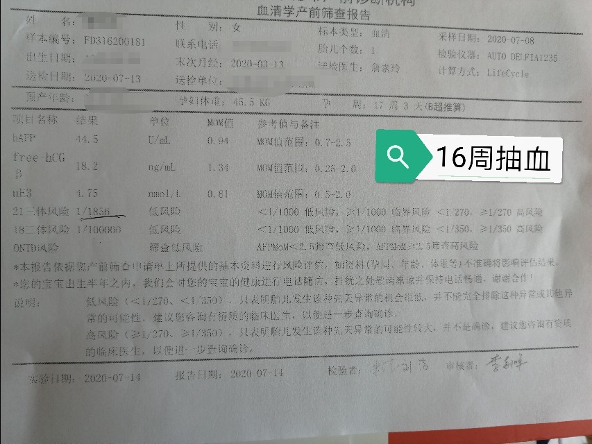 孕期报告单大全,孕期检查报告有哪些