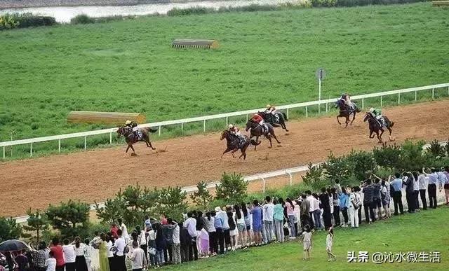 红凤巢玉如意……吸睛的二青会场馆，各个皆风景