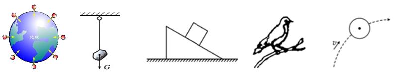 6.3《重力》的教学,6.3重力练习