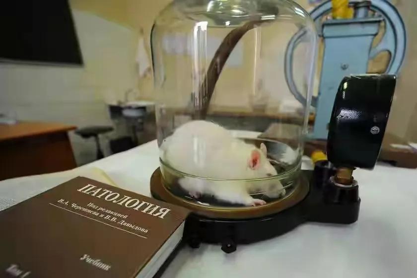 解酒如此简单用的原来是这个方法,有没有快速解酒的方法