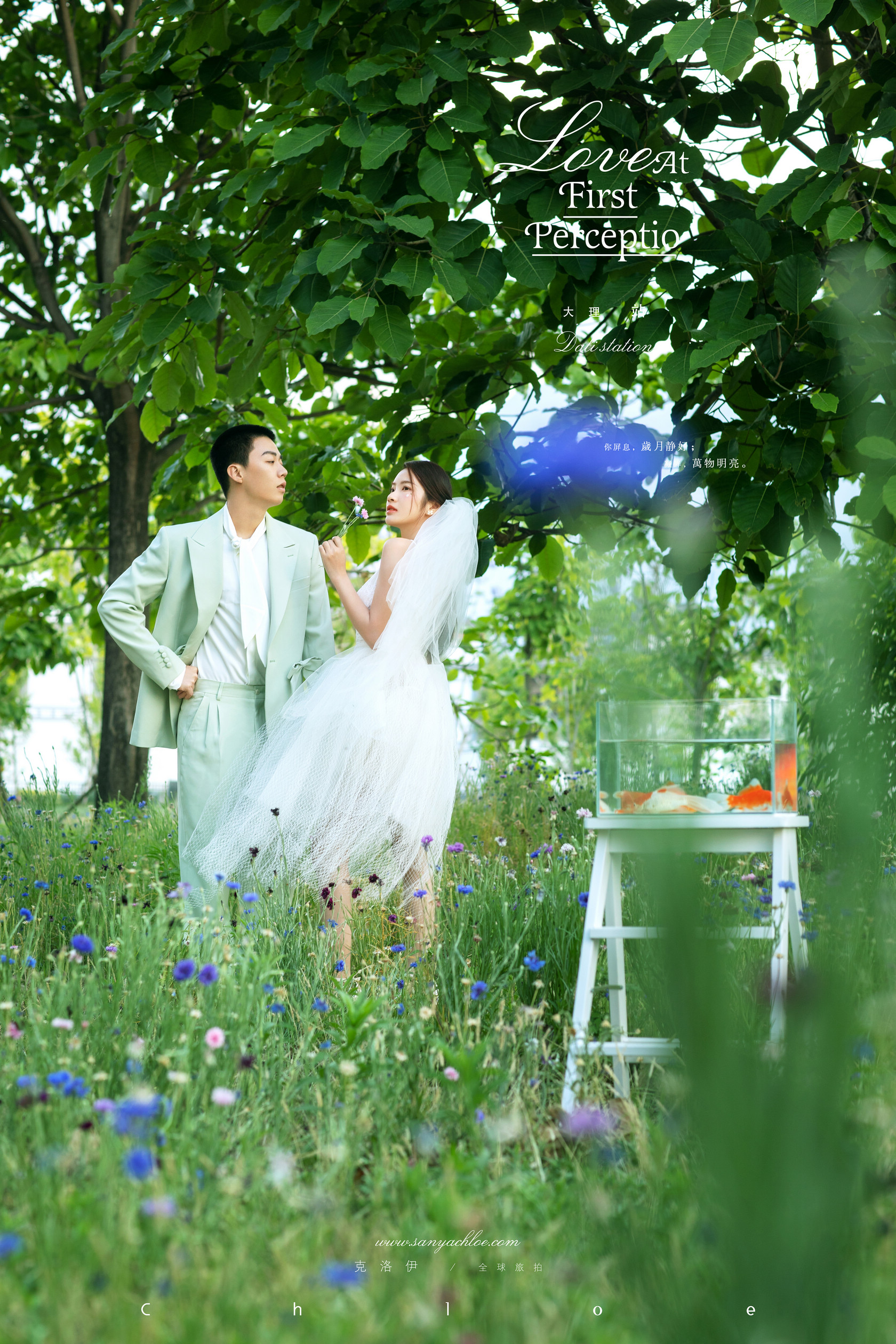 5套婚纱照选片技巧,婚纱照选片技巧及注意事项图片