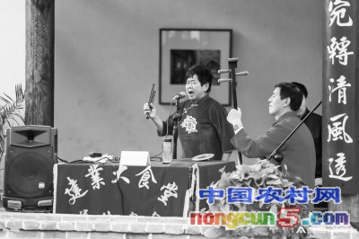 一抹绿色经典句子,一抹绿色生机勃勃