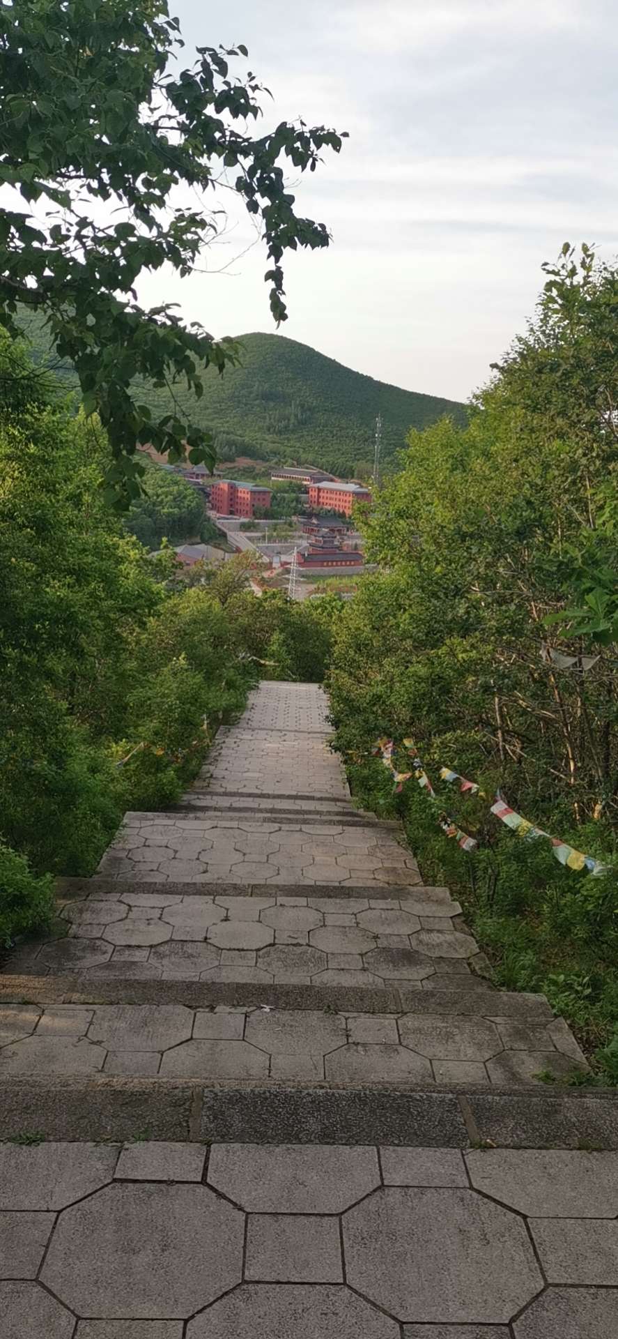 神奇的旅游城市,神奇的市区