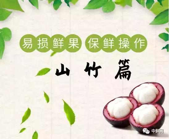 山竹教程完整视频,山竹运输怎么保新鲜