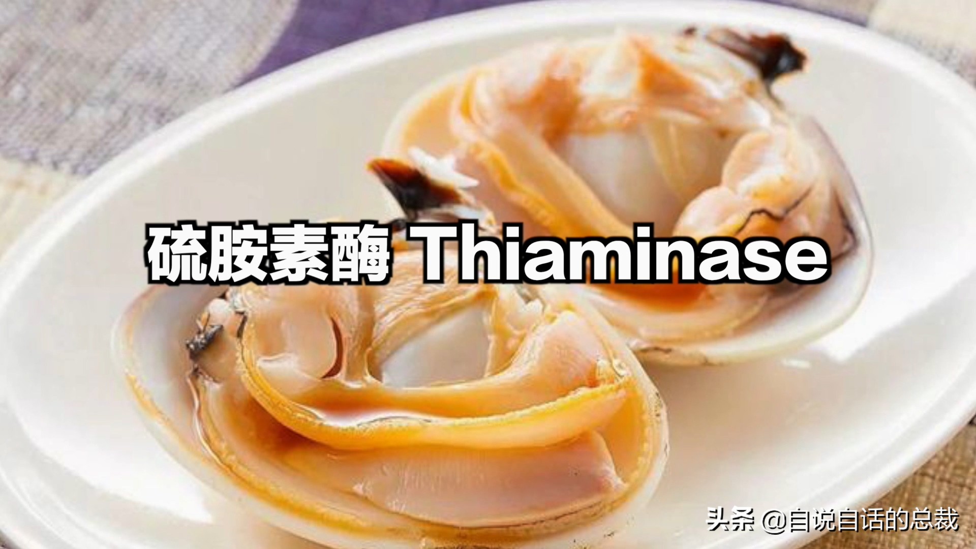 蚶蛤蛏蚬区别,蛤蜊蚶子蛏子区别