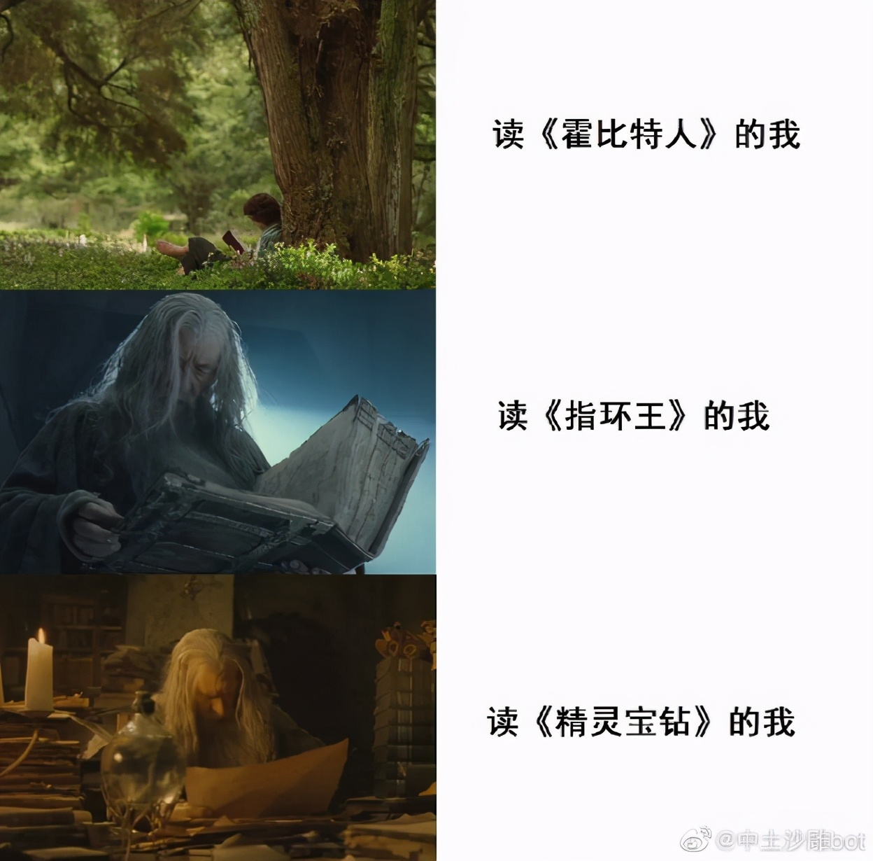 “指环王”凉了？流行文化8大“冷圈”用户画像，看看有没有你？