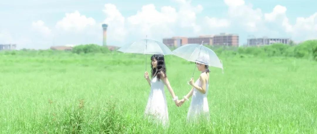 惊人的吸引力法则与因果,惊人的吸引力法则金句