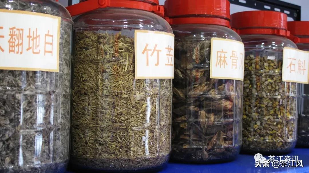 恭城周桂名：从事康养终不悔