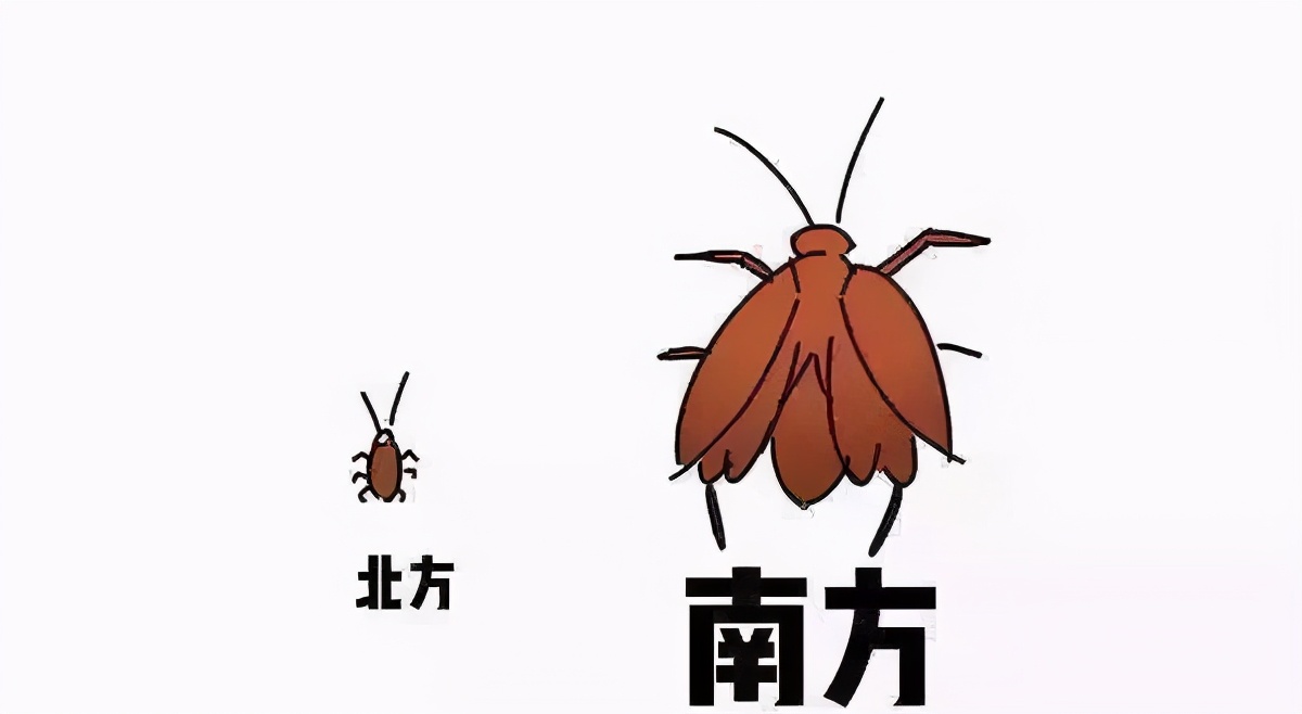 回南天大空间除湿小妙招,回南天除湿小妙招