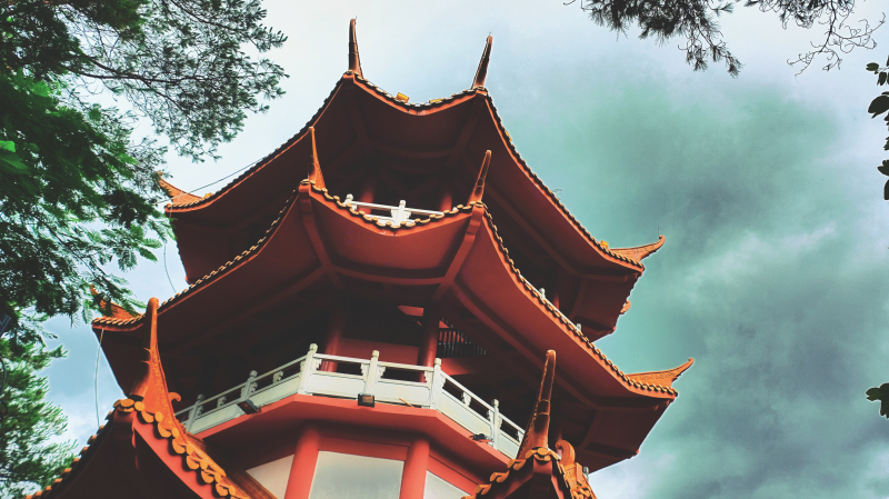 云浮南山森林公园锦鸡,云浮南山森林公园航拍