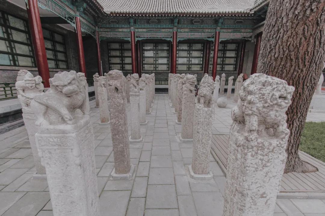 内卷的不只是打工人，连博物馆也开始拼了