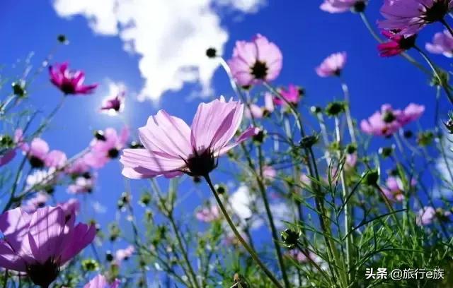 我想带你去*藏西**，行到水穷处，坐看云起时