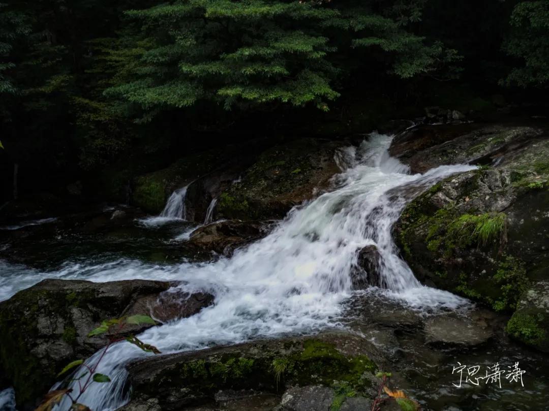 小米手机摄影技巧,手机摄影技巧入门到精通