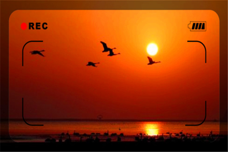 中年负债人如何翻身,负债累累的中年人该如何东山再起