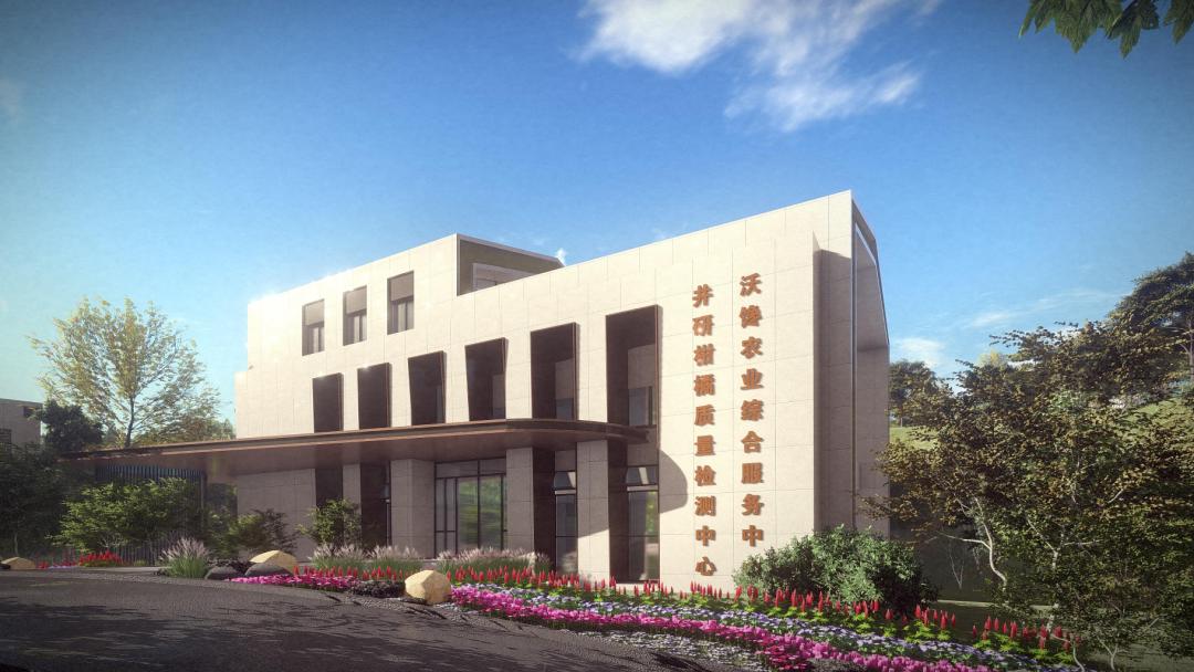 井研乡镇杂交柑橘栽培管理技术,井研柑橘项目的具体做法有哪些