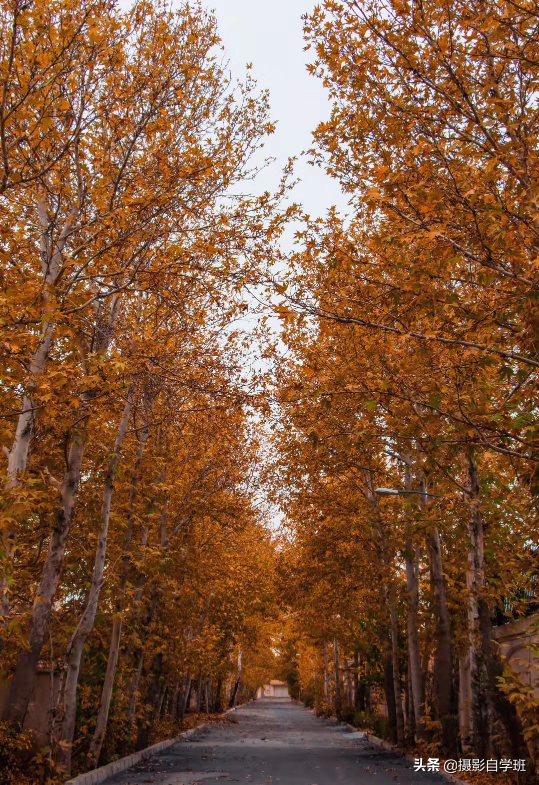 风景摄影技巧超实用,风景摄影拍摄技巧
