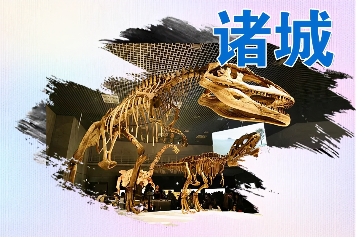 潍坊2024全民健身启动仪式,潍坊全民健身运动会报名