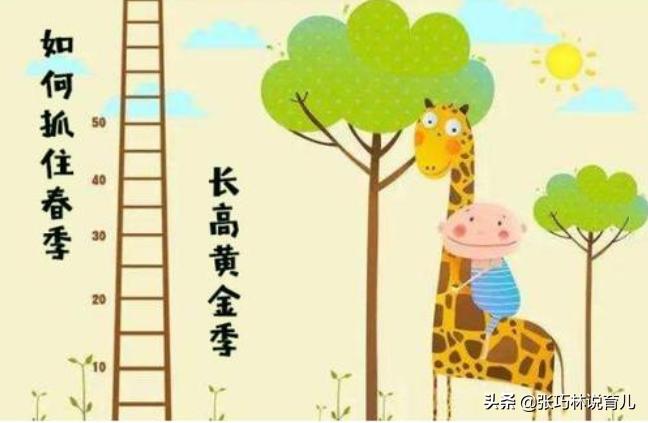孩子春季长高药方大全,长高有秘诀做好这几点长高并不难