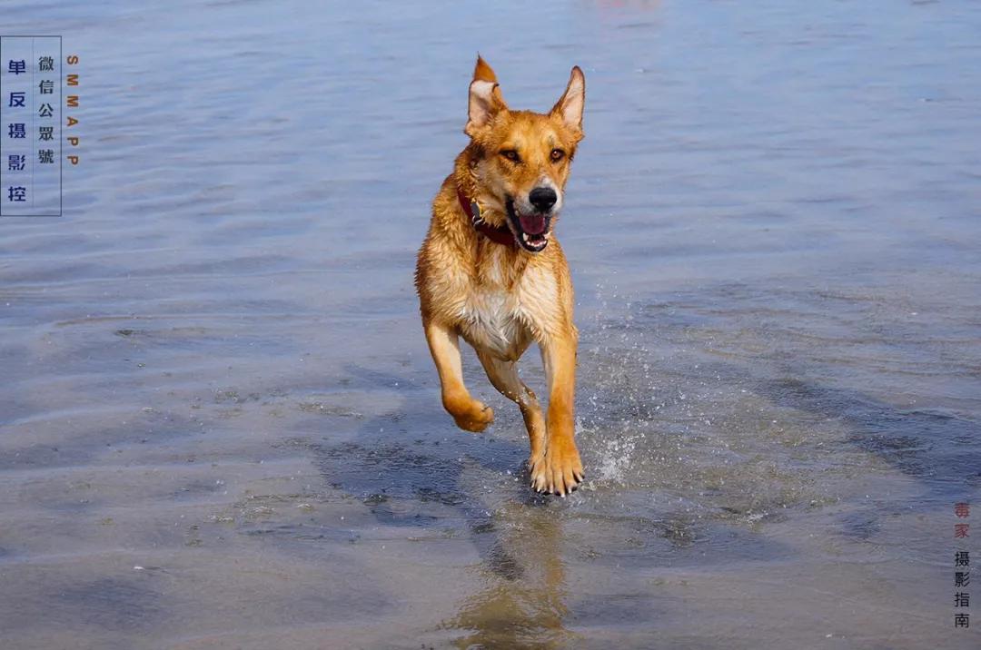 有了三脚架怎么摄影,有了三脚架可以拍人像