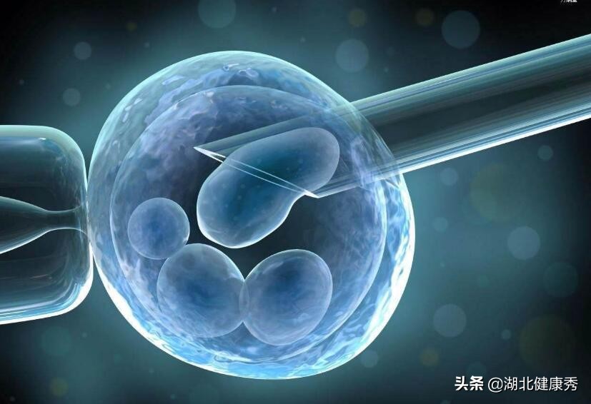 想做试管婴儿，却连这3件事都没弄明白，劝你还是别去浪费时间了