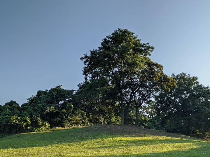 pixel4深度解析,索尼4.5寸小屏旗舰