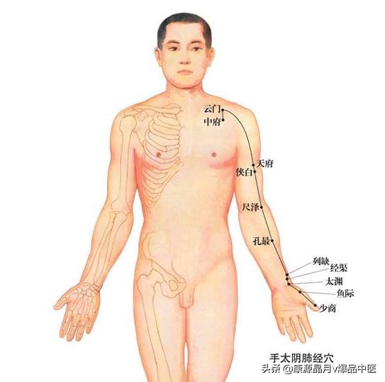 天下无疾,十二经脉流注图总结规律