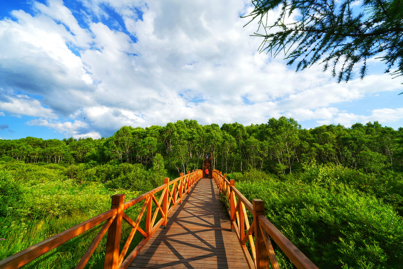 如何对付炎热的高温,炎炎夏日应对冬天