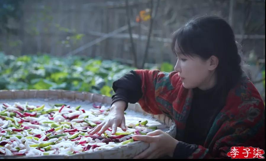 李子柒被韩国网友*攻围**，中国博主联手回击，发布酸菜视频标题显眼