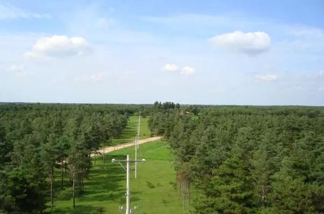 辽宁康平县城,康平绿化