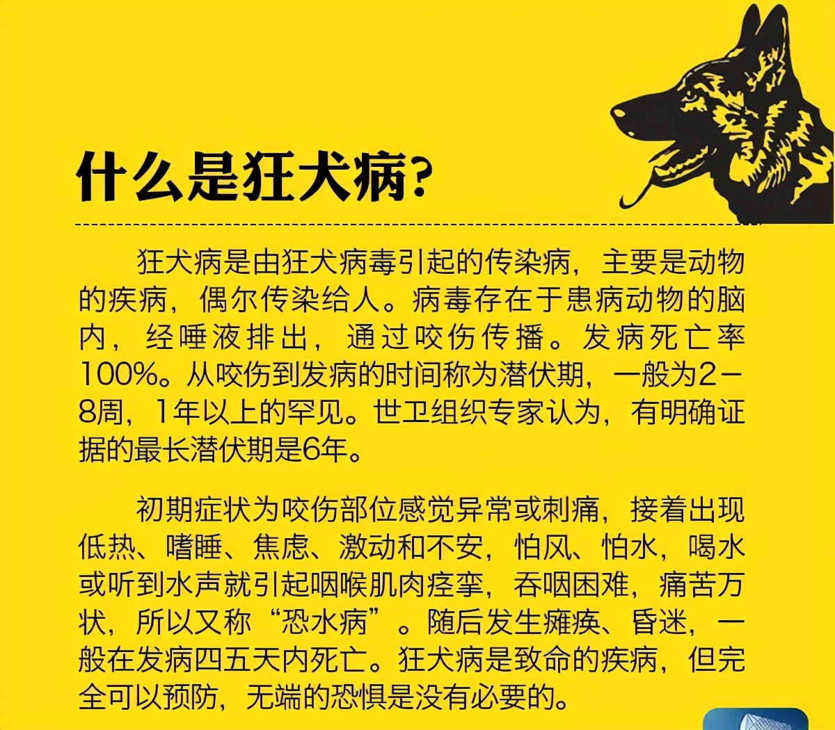遇到恶狗攻击人如何自救,恶狗攻击人