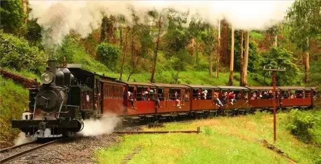 嘘！我要去澳洲了，不如一起吧